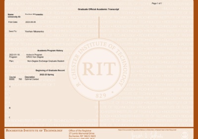 certificate Nikonenko RIT 2023 site (2)